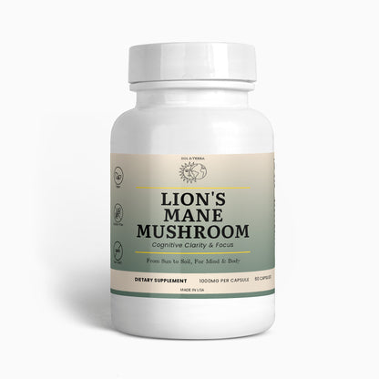 Lion's Mane Mushroom